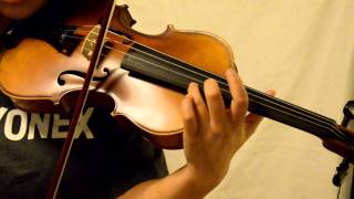 Tibets Spring  with Franz Sandner Violin Full Size 300p [upl. by Anahsar]