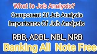 What Is Job Analysis Component of Job Analysis Importance of Job Analysis rbb nrb adbl nbl [upl. by Aklog]