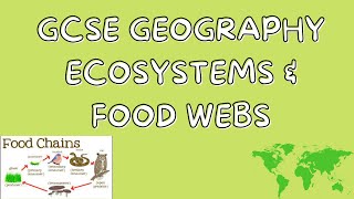 Ecosystems amp Food websGCSE GEOGRAPHY [upl. by Jer]