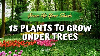 Green Up Your Shade 15 Plants to Grow Under Trees 🌳🌷👍  Garden Tips [upl. by Marie-Jeanne]