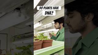 My experiment with Plant DNA 🧬  Tamil Scientist in Germany scienceexperiment tamilsciencechannel [upl. by Inot962]