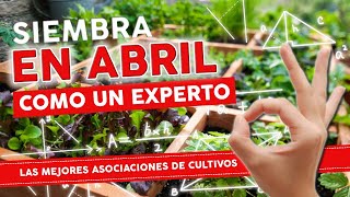 Que SEMBRAR en ABRIL y las ASOCIACIONES DE CULTIVOS para tu huerta urbana  ESPECIAL 2021 [upl. by Vijar791]