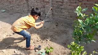 ibrahim ne garden main khodai ker dali [upl. by Kcyred]