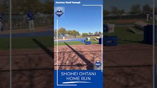 2024 Dodgers Spring Training Shohei Ohtani home run in live BP DodgerBlue shorts [upl. by Jeniffer]