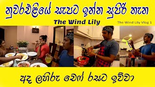 අපේ ෆැමිලි එක නැවතුන සුපිරි මන්දිරය 😍 Chicken Fried Rice With Chicken Devil 👍 The Wind Lily [upl. by Motteo]