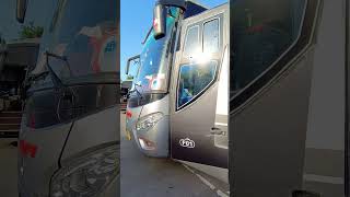 PEBEPE ELMALA Single Glass shorts anakterminalvlog busmania [upl. by Eelyak]