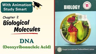 DNA Deoxyribonucleic acid  100 concept clear  Chapter 2  Class 111st year  Punjab biology [upl. by Gipsy289]