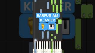 AnnenMayKantereit  Barfuß am Klavier Piano Tutorial [upl. by Erdried]