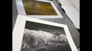 Photopolymer Photogravure Demonstration [upl. by Mylander]