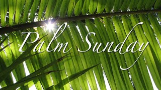 Palm Sunday [upl. by Paula]