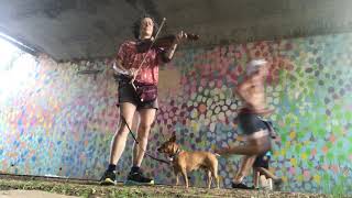 Crapshooters Rag  Miss Moonshine played under Beltline bridge with chihuahua at guard [upl. by Tori]