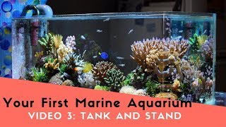 The Perfect Saltwater Aquarium and Stand Video 03 [upl. by Eycal]