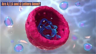 Genes Alleles and Chromosomes  Easy Explanation Genetics 101 genes biology cell [upl. by Ahsemaj]