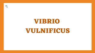 Vibrio vulnificus its morphology clinical findings treatment in JUST 7 mins [upl. by Alodee]