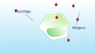 ¿Qué es la alergia [upl. by Minoru]