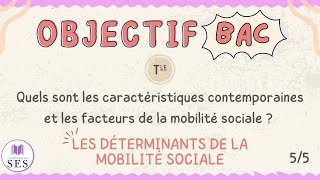 BAC Cours Mobilité Sociale  Les déterminants de la MS [upl. by Kafka]