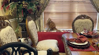 Funny Cat Flosses With The Blinds During Hurricane Milton Preparation Redecorating [upl. by Dorkus745]