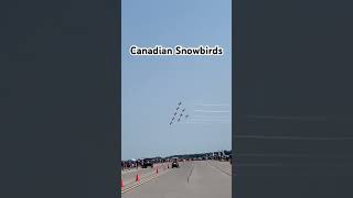 Canadian Snowbirds fypシ゚ planespotting planes aviation aviationlovers airplane stunts [upl. by Bree]