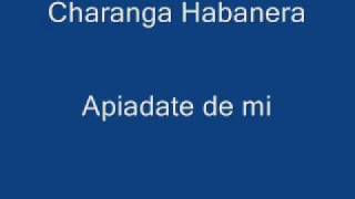 Apiadate de mi  Charanga Habanera [upl. by Kohsa]