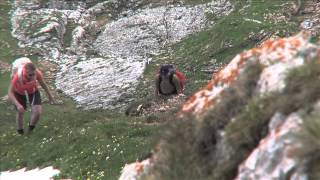 Adlerweg Tirol – Wandern in Tirol in Österreich ⛰ [upl. by Odradlig]