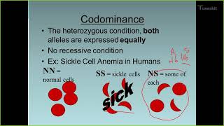 الوراثة اللامندليه Non mendelian Inheritance [upl. by Nahs]