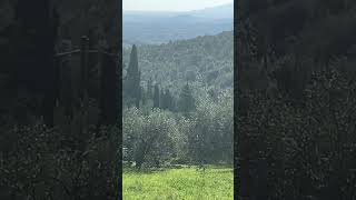 Ashram land scape Master Sirio Ribolla Italy [upl. by Immot]