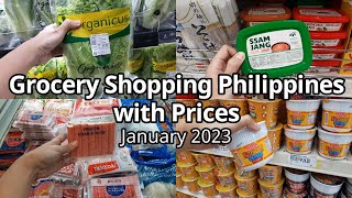 January 2023 Grocery Shopping Philippines with Price Update [upl. by Tima]