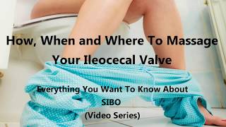 How When and Where To Massage Your Ileocecal Valve [upl. by Adla]