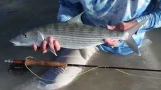 Fly Fishing for BIG Bonefish on a 4Wt Sage ZXL Rod  Fly Fishing amp Dreams [upl. by Goulet]