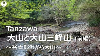 丹沢 大山と大山三峰山（前編）【登山・ハイキング・日帰り・2021年春・神奈川県】煤ケ谷・谷太郎沢・不動尻・唐沢峠・大山・大山三峰山Tanzawa Mountains [upl. by Liw]