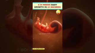 Baby Development from 4 to 34 Weeks – What’s Happening Inside pregnancy baby shorts love [upl. by Alaekim]