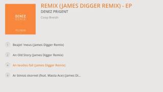 Denez Prigent  Remix James Digger Remix  EP Album Preview [upl. by Gilmore421]