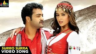 Shakti Songs  Surro Surra Video Song  Jr NTR Ileana  Sri Balaji Video [upl. by Ynohtnacram]