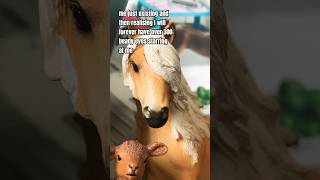 they’re always watching 😃 schleich horses horse schleichhorses models modelhorses funny [upl. by Lletnom631]