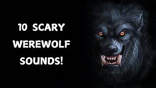 10 Werewolf Sound Effects  Scariest werewolf sounds [upl. by Pierre]