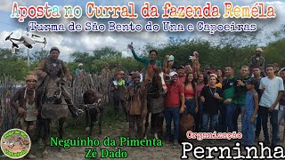 Apostas no Curral da fazenda Reméla em TacaimbóPE Org Pérninha 200324 [upl. by Ambrosius]