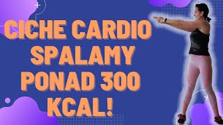 Ciche cardio dla początkujących na stojąco Bez maty bez skakania bez tupania Palimy 300 kcal [upl. by Schoof887]