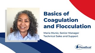 Basics of Coagulation and Flocculation  10Minute Tech Series [upl. by Arni]