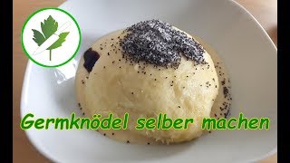 Germknödel zu Hause einfach selber machen mit Vanillesoße [upl. by Idnic734]