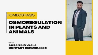 HOMEOSTASIS lec 3 osmoregulation in plants and animals Ahsan bio wala Dr Ahsan MajeedUrduhindi [upl. by Ymaral170]