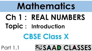 Real Numbers I Introduction I Maths NCERT Class X I Chapter 1 I Part 11 [upl. by Eneroc]