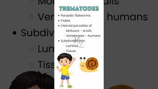 What are trematodes parasitology trendingshorts flatworm medzukhruf microbiology [upl. by Tolman]