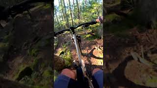 After work Pilat VTT de rêve bike vtt mtb enduro endurigide mountainbike rider hardtailmtb [upl. by Cawley]