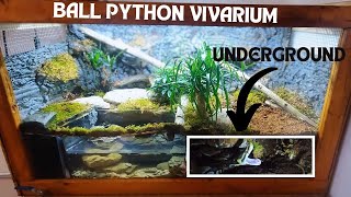 I Built A New Ball Python Vivarium With Crayfish [upl. by Ydollem826]