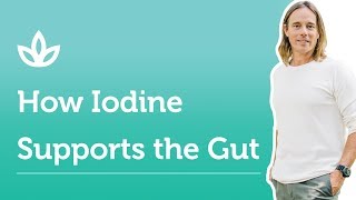 How Iodine Supports Gut Health [upl. by Lebezej]