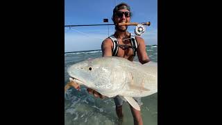 FLY FISHING For Red Drum off the BEACH [upl. by Bywoods698]