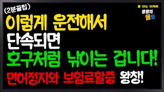 2분꿀팁 이렇게 운전해서 단속되면 호구처럼 낚이는 겁니다 면허정지 보험료할증 [upl. by Anahahs933]