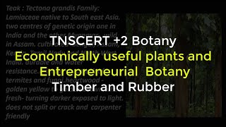 17Botany  Economically useful plants and entrepreneurial botany  Timber and Rubber [upl. by Nwadrebma]