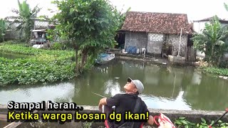 Belakang kampung banjir Ikan sebanyak ini gak ada yang mancing [upl. by Kcirre]