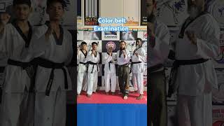 Taekwondo Color Belt ExaminationMartial Arts mmakarate Kungfu [upl. by Uranie]